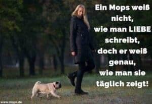 Mops Zitate und Sprüche Mops.de